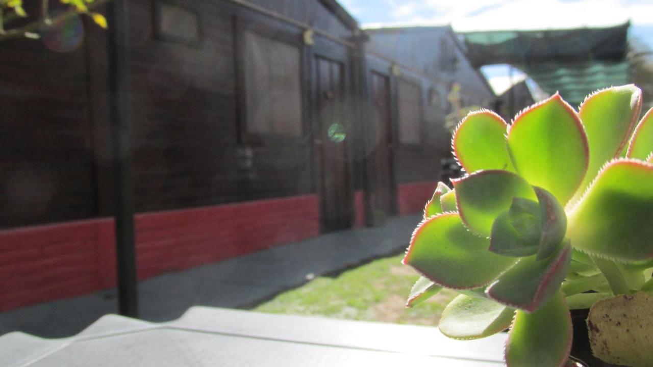 Hostal Del Suri Cafayate Eksteriør bilde